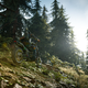 Days Gone